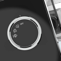 SteamOne Steamer GEORGE 2